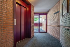 DSC07379-HDR.jpg
