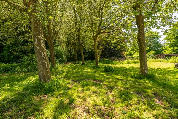 Medium property photo - Pastorieweg 10, 9943 TG Nieuw Scheemda