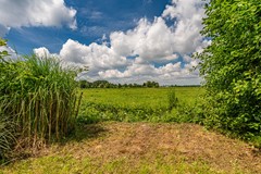 DSC03713-HDR.jpg