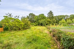 DSC06368-HDR.jpg