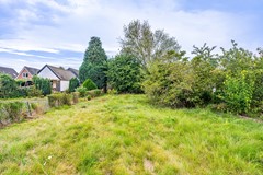 DSC06374-HDR.jpg