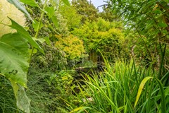 DSC09525-HDR.jpg