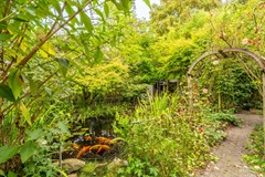 DSC09531-HDR.jpg