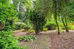 DSC07341-HDR.jpg