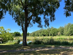 IMG_0219.jpg
