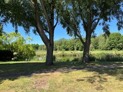 IMG_0220.jpg