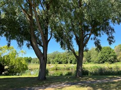 IMG_0221.jpg