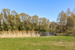 Turnhoutplantsoen 45 - 34.jpg
