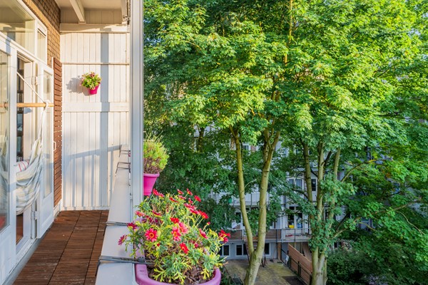Medium property photo - Rijnstraat 238-3, 1079 HV Amsterdam