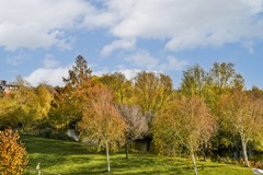 Balatonmeerlaan 43 - 37.jpg