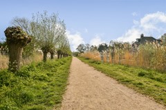 Knokkestraat 75 - 34.jpg