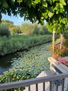 IMG_4256.jpeg