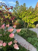 IMG_4259.jpeg