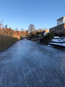 IMG_5912.jpeg