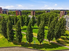 DJI_20260523133805_0040_D.jpg