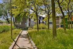 Watermaalpad 5-45.jpg