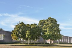 For sale: Oudenaardeplantsoen 53, 1066 TJ Amsterdam