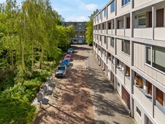 05.jpg