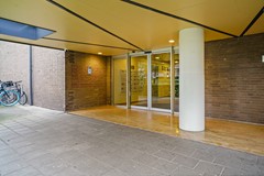 05.jpg