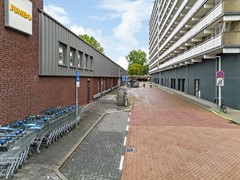 03.jpg