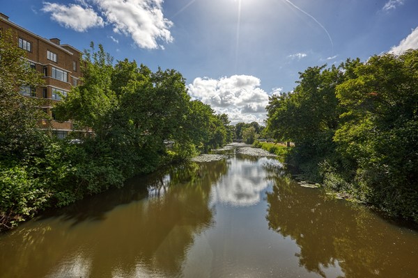 Medium property photo - Godetiaweg 56, 2555 RW Den Haag