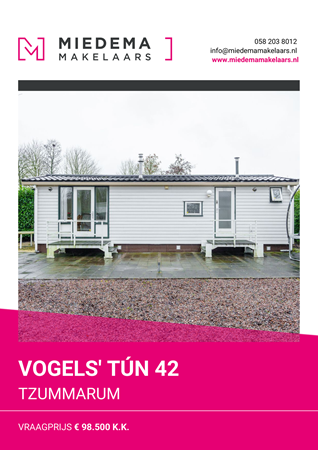 Brochure preview - Vogels' Tún 42, 8851 HV TZUMMARUM (1)