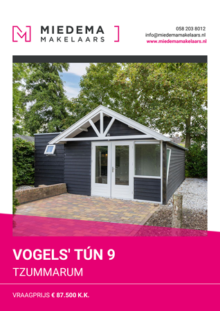 Brochure preview - Vogels' Tún 9, 8851 HT TZUMMARUM (1)