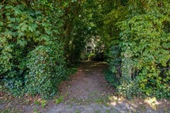 Tsjerkepaed Donkerder-21.jpg