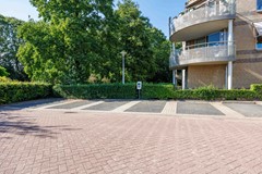 Skries-50.jpg