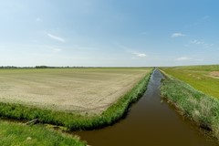 Boonweg 4, Sint Jacobiparochie-20.jpg
