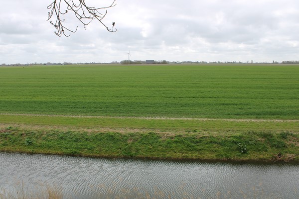 Medium property photo - Oudebildtdijk 44, 9078 WH Oudebildtzijl