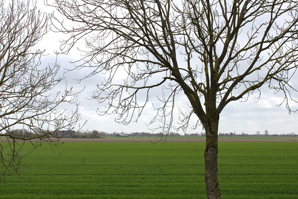 Medium property photo - Oudebildtdijk 44, 9078 WH Oudebildtzijl