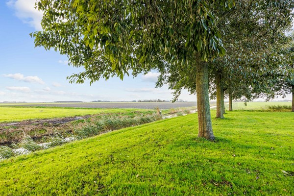 Medium property photo - Bargereed, 8851 RB Tzummarum