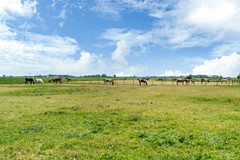 Berlikumerweg 5, Ried-58.jpg