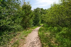 Dorotheagaarde561403JWBussumNL-33.jpg