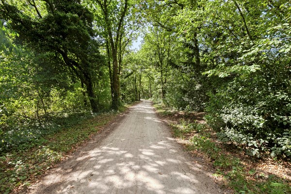 Medium property photo - Dorotheagaarde 56, 1403 JW Bussum