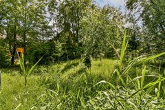 Rented: Noorderduinweide 12, 1361 DD Almere