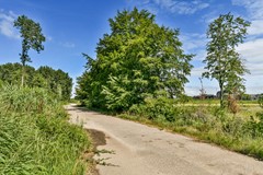 Rented: Noorderduinweide 12, 1361 DD Almere