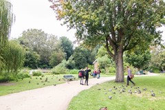 Rented: Kuipersstraat 137C, 1073 ER Amsterdam