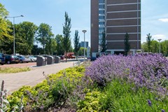 Rented: Burgemeester Hogguerstraat 327, 1064 CR Amsterdam