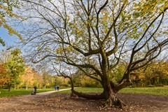 For sale: Albert Cuypstraat 192-3, 1073 BL Amsterdam