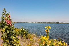 For rent: Maria Austriastraat 57, 1087 EK Amsterdam