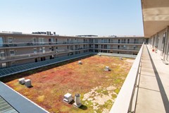 Huur: Maria Austriastraat 57, 1087 EK Amsterdam