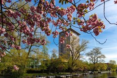 Huur: Vincent van Goghstraat 121, 1072 KX Amsterdam