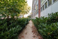 For rent: Bouvigne 27-1, 1083 BP Amsterdam