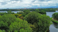 For sale: Oeverpad 431, 1068 PM Amsterdam