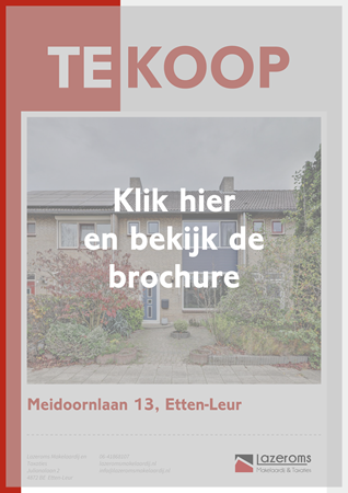 Brochure preview - Meidoornlaan 13, 4871 TA ETTEN-LEUR (1)