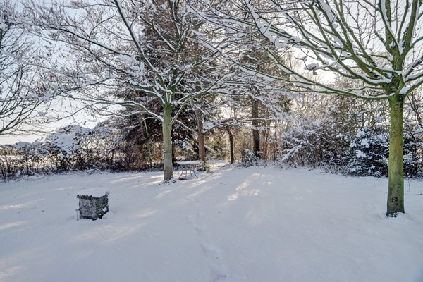 Medium property photo - Bosschenhoofdseweg 8, 4735 RA Zegge