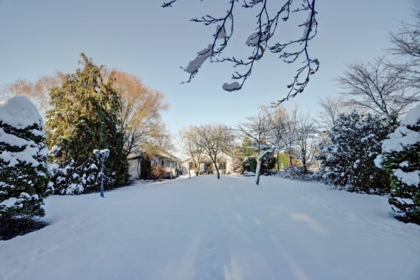 Medium property photo - Bosschenhoofdseweg 8, 4735 RA Zegge