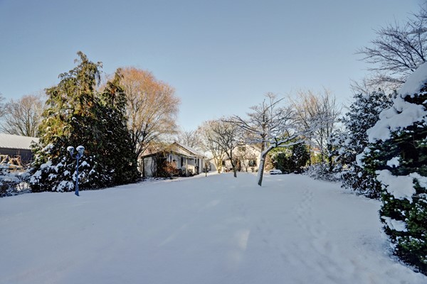 Medium property photo - Bosschenhoofdseweg 8, 4735 RA Zegge